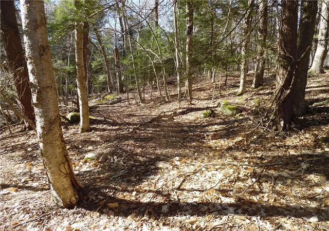 Photo 4 of Land for sale at 183 Revonah Hill Rd, Liberty, NY 12754 | MLS# H6227985 | Listing updated on 2026-04-17