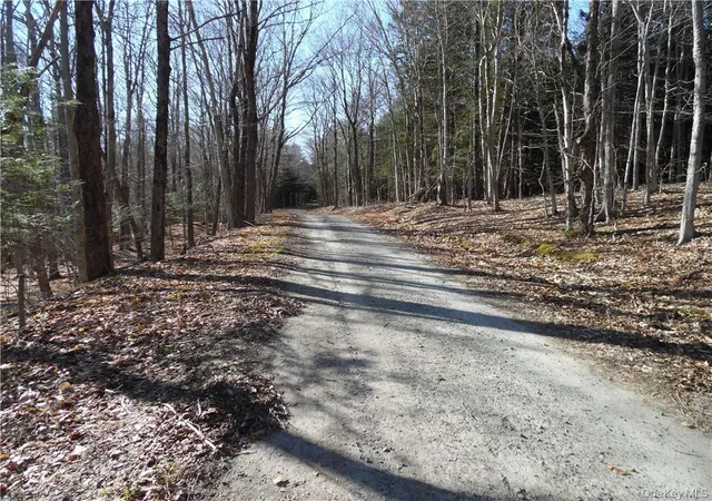 Photo 5 of Land for sale at 183 Revonah Hill Rd, Liberty, NY 12754 | MLS# H6227985 | Listing updated on 2026-04-17