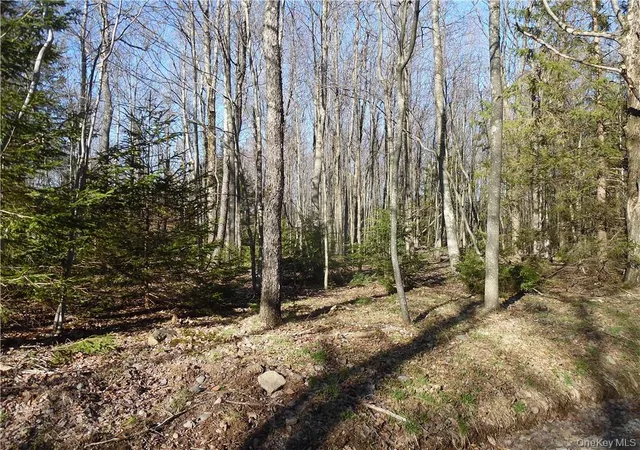 Photo 6 of Land for sale at 183 Revonah Hill Rd, Liberty, NY 12754 | MLS# H6227985 | Listing updated on 2026-04-17