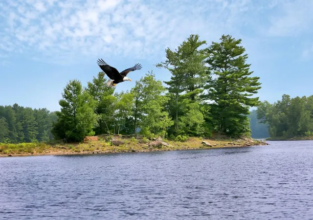 Photo 1 of Land for sale at Whispering Woods Dr, Bethel, NY 12762 | MLS# H6232736 | Listing updated on 2026-03-10