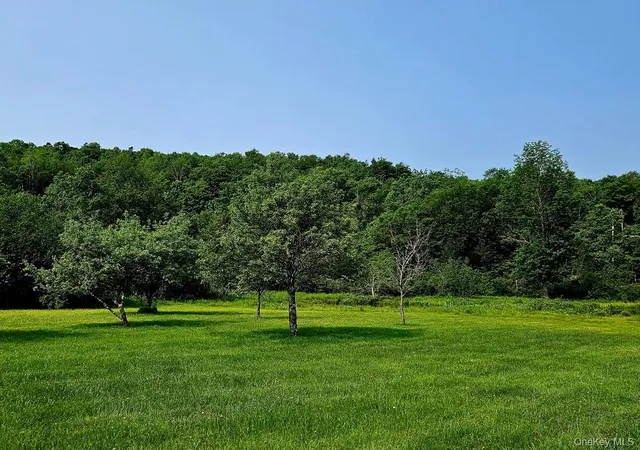 Photo 3 of Single family home for sale at 141 Bonnie Brook Rd, Roscoe, NY 12776 | MLS# H6272618 | Listing updated on 2026-10-06
