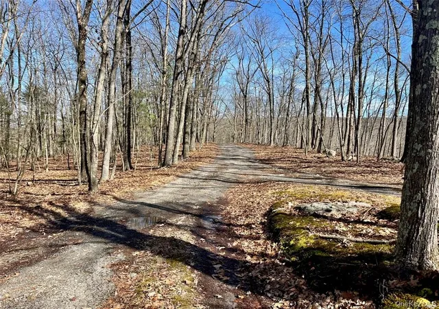 Photo 2 of Land for sale at Greenville Turnpike, Greenville, NY 12771 | MLS# H6293508 | Listing updated on 2026-08-13