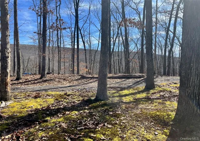 Photo 3 of Land for sale at Greenville Turnpike, Greenville, NY 11729 | MLS# H6293508 | Listing updated on 2026-10-02