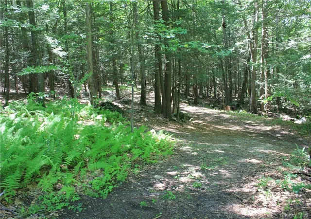 Photo 3 of Land for sale at Rolling Meadow Ln, Pound Ridge, NY 10576 | MLS# H6302491 | Listing updated on 2026-05-01
