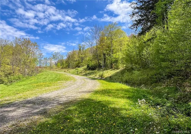 Photo 3 of Land for sale at 0 Rt-28, Andes, NY 13731 | MLS# H6309191 | Listing updated on 2026-08-14