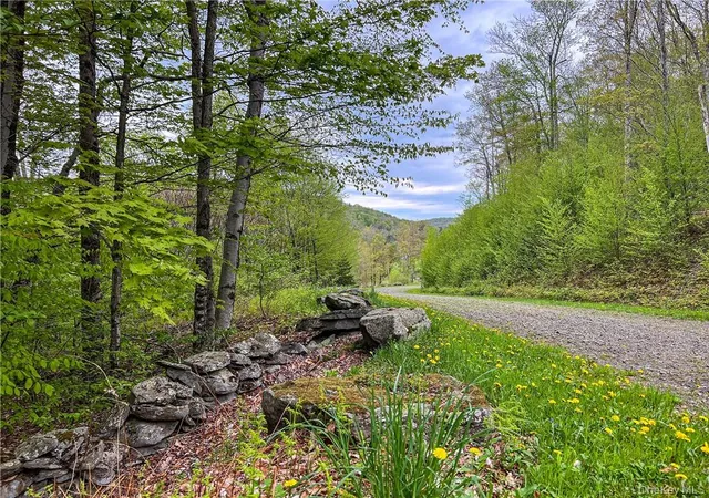 Photo 36 of Land for sale at 0 Rt 28, Andes, NY 13731 | MLS# H6309191 | Listing updated on 2026-08-14