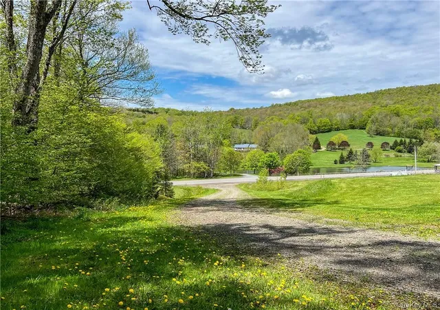 Photo 4 of Land for sale at 0 Rt-28, Andes, NY 13731 | MLS# H6309191 | Listing updated on 2026-08-14