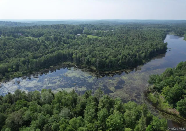 Homes for sale in Bethel, NY | Lot 23 Deer Meadow Rd, Bethel, NY 12720 | MLS# H6323370