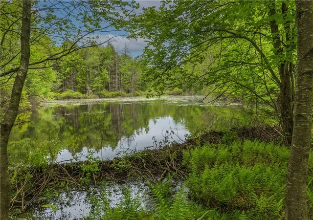 4th image of 401 Harris Rd, Monticello, NY 12701 | MLS# H6325502