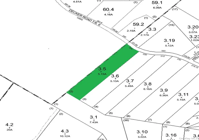Homes for sale in Lumberland, NY | Decker Rd, Lumberland, NY 12737 | MLS# H6328391
