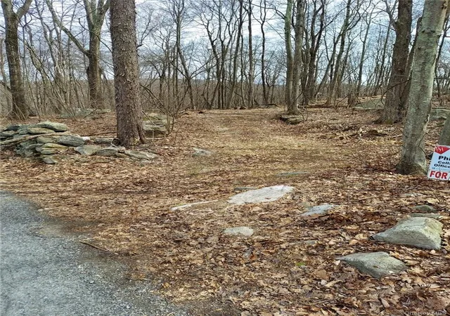 3rd image of 489 Grape Hollow Rd, Holmes, NY 12531 | MLS# H6328560