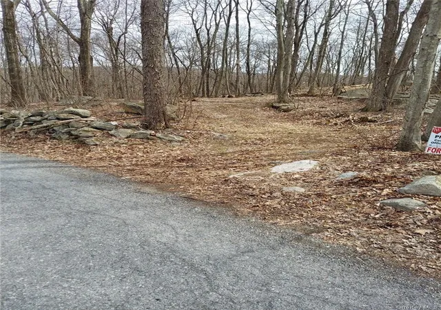 4th image of 489 Grape Hollow Rd, Holmes, NY 12531 | MLS# H6328560