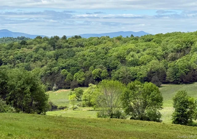 Photo 1 of Land for sale at Woodward Hill,stissng Mount, Hicks Hill, Route 199, Pine Plains, NY 12567 | MLS# H6332462 | Listing updated on 2026-08-23