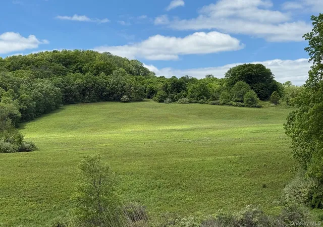 Photo 2 of Land for sale at Woodward Hill,stissng Mount, Hicks Hill, Route 199, Pine Plains, NY 12567 | MLS# H6332462 | Listing updated on 2026-08-23
