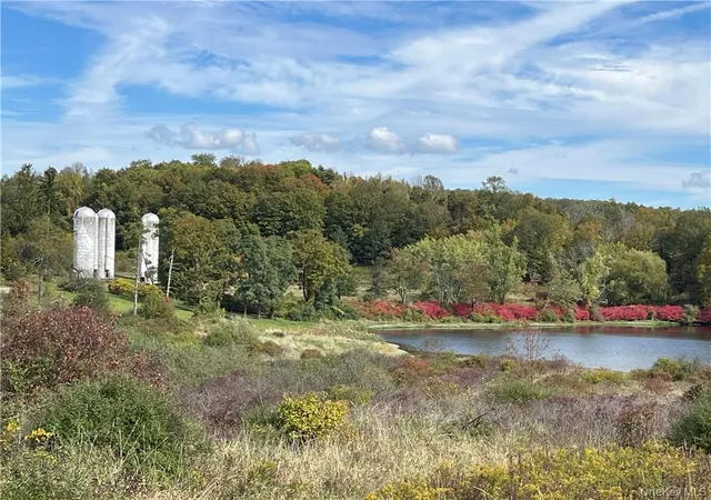 Photo 3 of Land for sale at Woodward Hill,Stissng Mount, Hicks Hill, Route 199, Pine Plains, NY 12567 | MLS# H6332462 | Listing updated on 2026-10-15