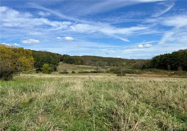 Photo 4 of Land for sale at Woodward Hill,Stissng Mount, Hicks Hill, Route 199, Pine Plains, NY 12567 | MLS# H6332462 | Listing updated on 2026-10-15