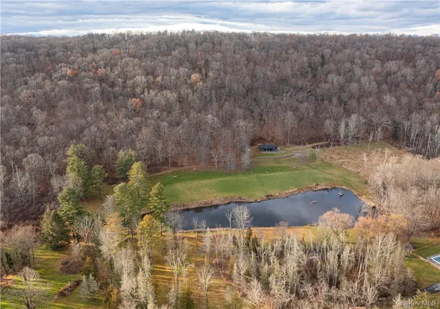Homes for sale in Dover, NY | 165 Duell Hollow Rd, Dover, NY 12594 | MLS# H6332865