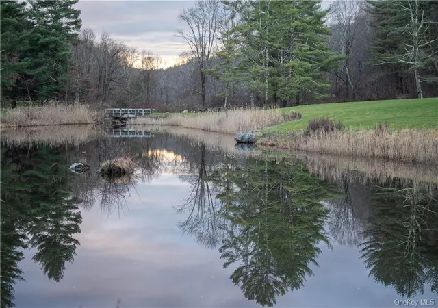 Homes for sale in Dover, NY | 165 Duell Hollow Rd, Dover, NY 12594 | MLS# H6332865