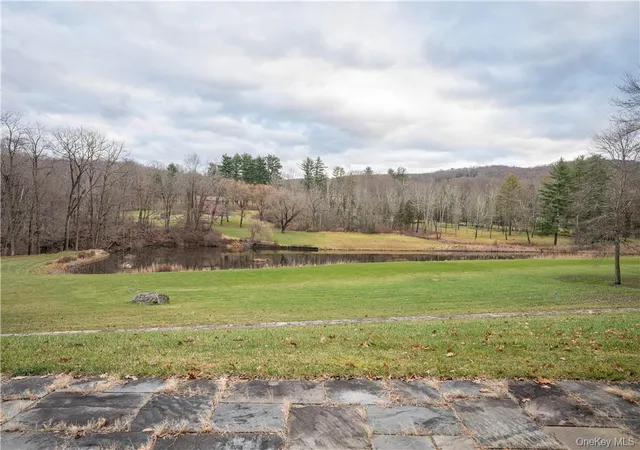Homes for sale in Dover, NY | 165 Duell Hollow Rd, Dover, NY 12594 | MLS# H6332865