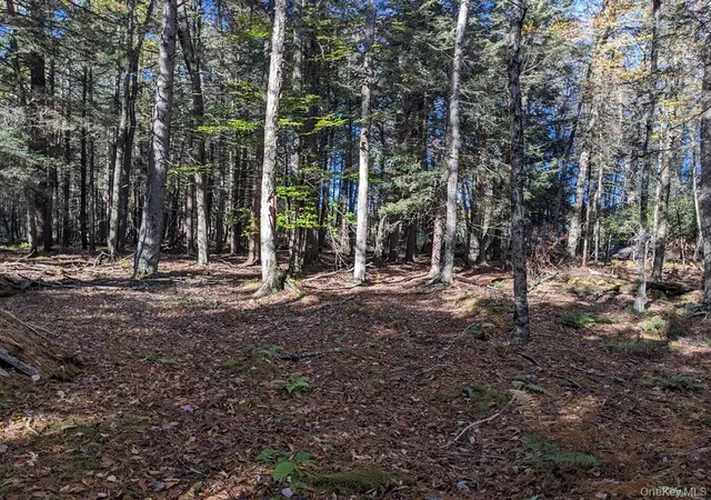 Homes for sale in Bethel, NY | Moscoe Rd, Bethel, NY 12786 | MLS# H6333324