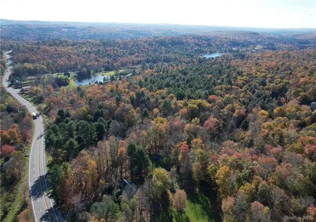 Photo 25 of Land for sale at 1195 Nys Route 17b, Bethel, NY 12762 | MLS# H6334203 | Listing updated on 2026-04-22