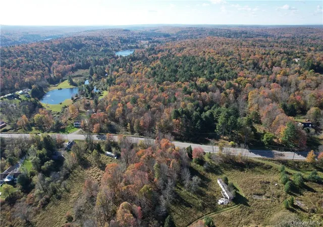 Photo 3 of Land for sale at 1195 Nys Route 17b, Bethel, NY 12762 | MLS# H6334203 | Listing updated on 2026-04-22