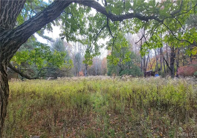 Photo 4 of Land for sale at 1195 Nys Route 17b, Bethel, NY 12762 | MLS# H6334203 | Listing updated on 2026-04-22