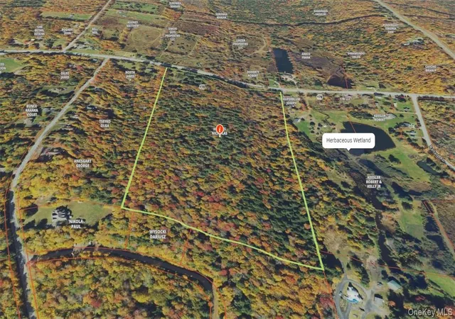Photo 5 of Land for sale at 1195 Nys Route 17b, Bethel, NY 12762 | MLS# H6334203 | Listing updated on 2026-04-22
