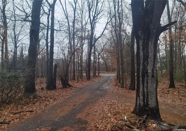 4th image of 222 Country Rd, Brookhaven, NY 11763 | MLS# L3535614