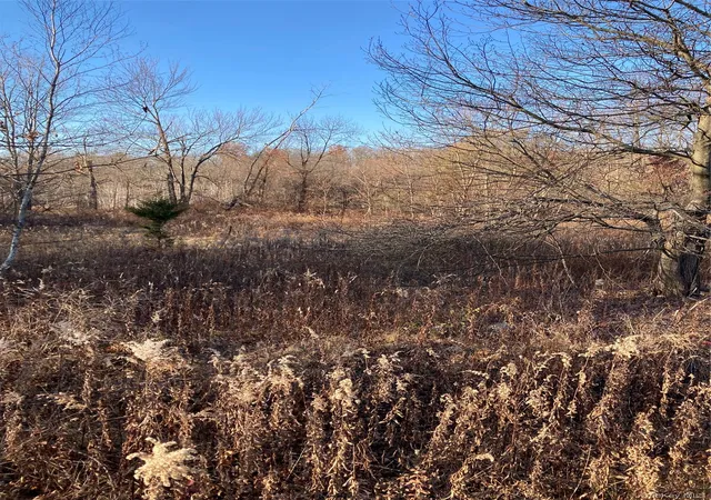 Homes for sale in Wallkill, NY | Pocatello Rd Pocatello Rd, Wallkill, NY 12566 | MLS# 800245