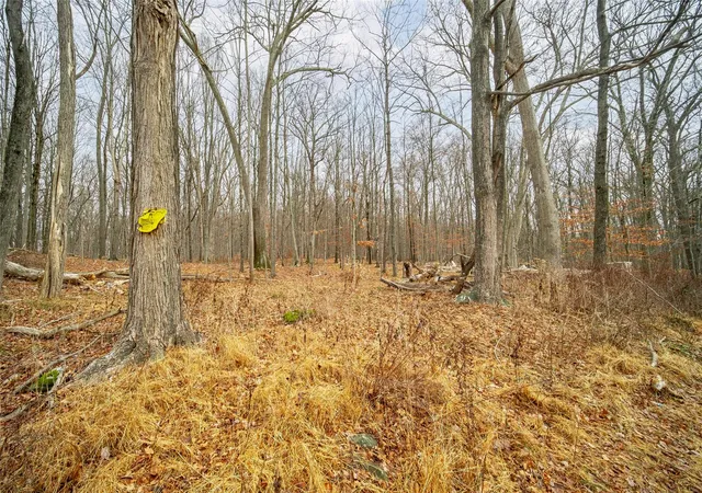 Photo 3 of Land for sale at Baker Rd, Hopewell Junction, NY 12533 | MLS# 803712 | Listing updated on 2026-06-19
