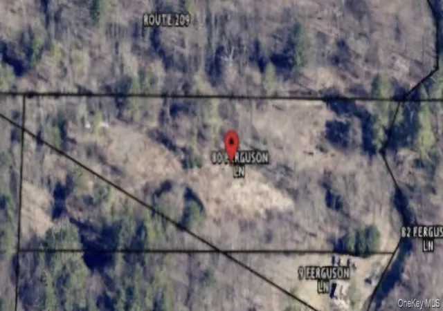 Photo 1 of Land for sale at 358/80 Ferguson Ln, Wurtsboro, NY 12790 | MLS# 806159 | Listing updated on 2025-11-21
