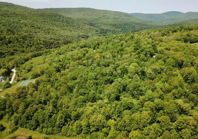 2nd image of Tbd High Meadow Rd, Hardenburgh, NY 12758 | MLS# 822420