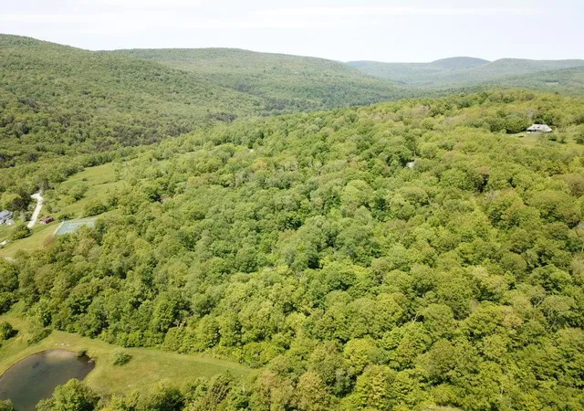 3rd image of Tbd High Meadow Rd, Hardenburgh, NY 12758 | MLS# 822420