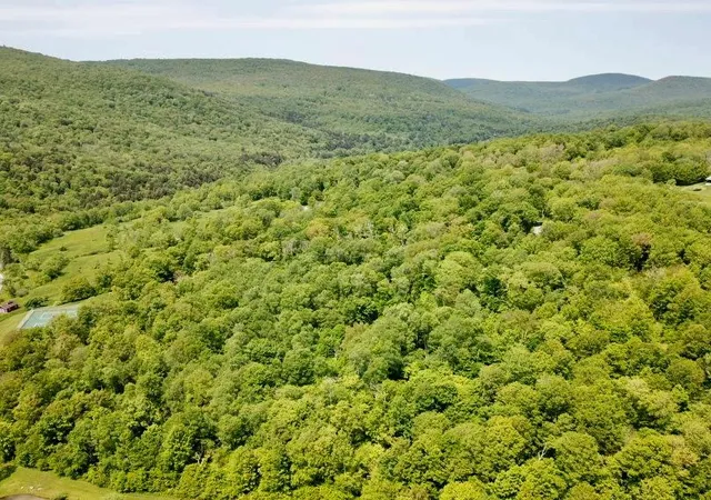4th image of Tbd High Meadow Rd, Hardenburgh, NY 12758 | MLS# 822420