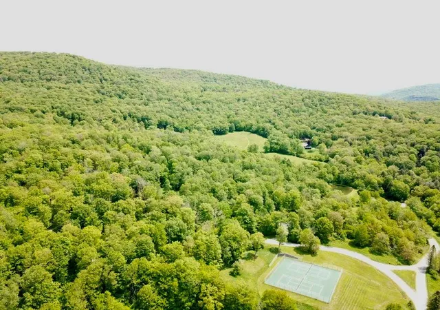 5th image of Tbd High Meadow Rd, Hardenburgh, NY 12758 | MLS# 822420