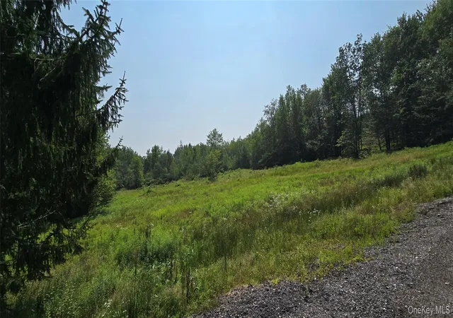 48th image of Tbd Aden Rd, Neversink, NY 12725 | MLS# 824432