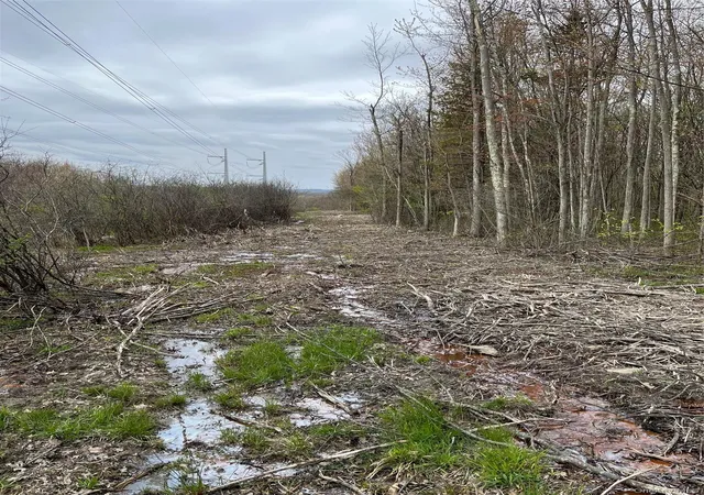 Photo 3 of Land for sale at Rebecca Dr, Middletown, NY | MLS# 839331 | Listing updated on 2026-10-21