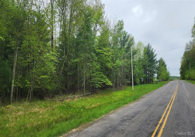 Homes for sale in Thompson, NY | 42 Concord Rd, Thompson, NY 12751 | MLS# 839813