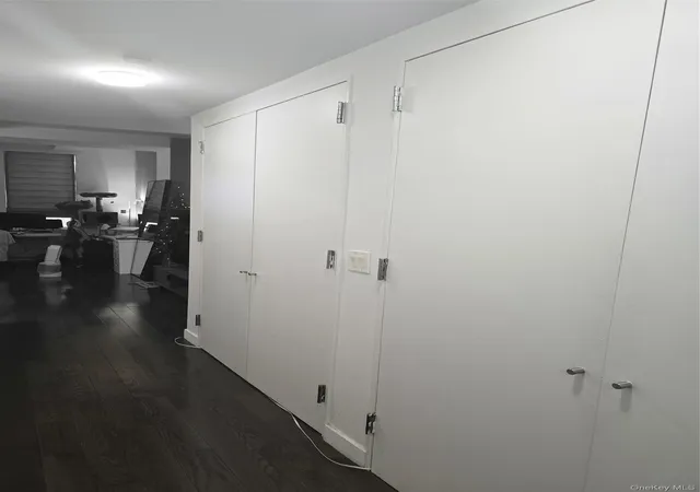 Listing Photo 4 - Condo for sale in building located at 119 Fulton St, New York City, NY 10038 - Unit #5B