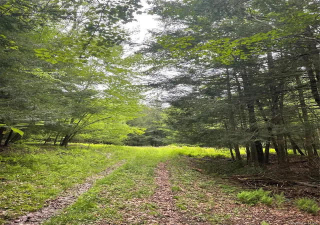 Photo 20 of Land for sale at 39 Birch Ln, Swan Lake, NY 12783 | MLS# 845062 | Listing updated on 2026-08-25