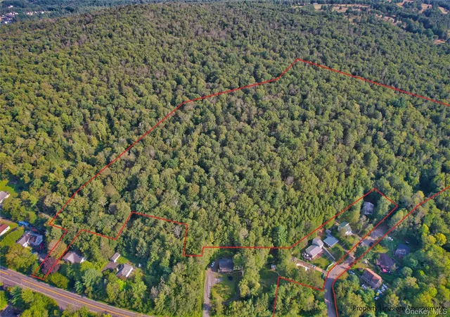 Photo 1 of Land for sale at 39 Birch Ln, Swan Lake, NY 12783 | MLS# 845062 | Listing updated on 2026-08-25