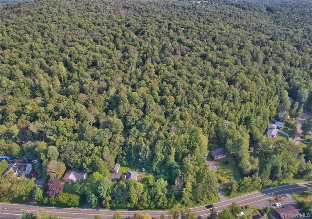 Photo 3 of Land for sale at 39 Birch Ln, Swan Lake, NY 12783 | MLS# 845062 | Listing updated on 2026-08-25
