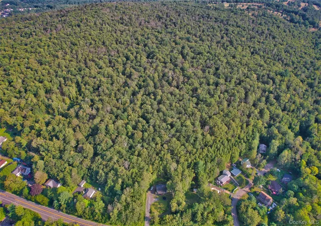 Photo 4 of Land for sale at 39 Birch Ln, Swan Lake, NY 12783 | MLS# 845062 | Listing updated on 2026-08-25