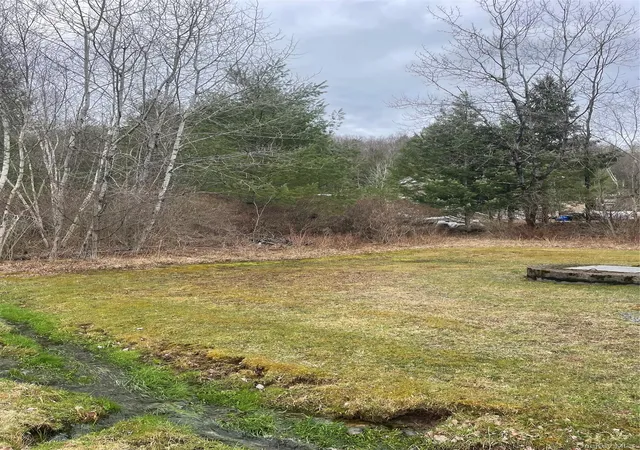 Photo 5 of Land for sale at 39 Birch Ln, Swan Lake, NY 12783 | MLS# 845062 | Listing updated on 2026-08-25