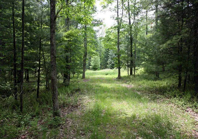 Homes for sale in Delaware, NY | Lot 23 Serenity Dr, Delaware, NY 12723 | MLS# 855217