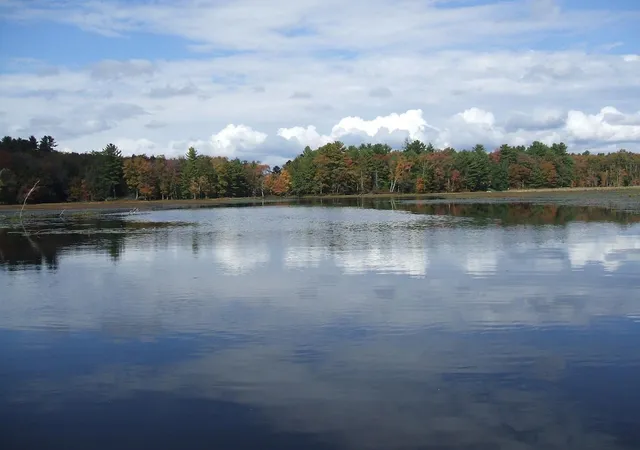 Photo 1 of Land for sale at Rt 17b, Bethel, NY 12720 | MLS# 857341 | Listing updated on 2026-07-08