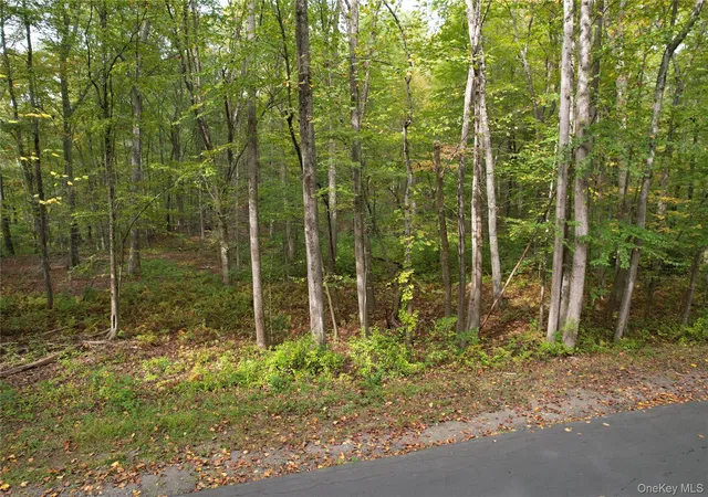 Homes for sale in Pound Ridge, NY | Brook Farm Rd, Pound Ridge, NY 10576 | MLS# 863526