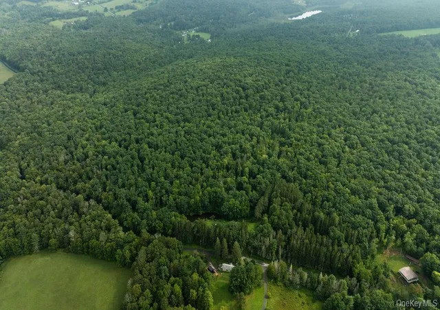 Photo 3 of Land for sale at 632 New Turnpike Rd, Cochecton, NY 12726 | MLS# 863840 | Listing updated on 2026-09-17