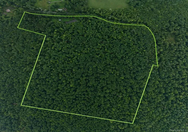 Photo 3 of Land for sale at 632 New Turnpike Rd, Cochecton, NY 12726 | MLS# 863840 | Listing updated on 2026-09-17